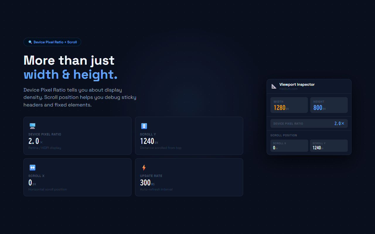 Viewport Inspector screenshot 4